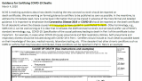 CDC Death Certificate.PNG