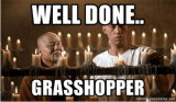 well-done-grasshopper-emem-generator-net-well-done-grasshopper-master-48924096.png