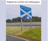 grass scotland.png