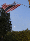flag and moon.gif