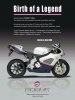 Roehr+Bike+Print+Ad.jpg