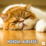 Monday-already.jpg