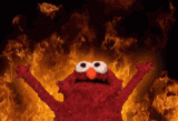 giphy331.gif