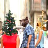 cat-in-christmas-tree-meme-960x960.jpg