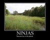 ninjas02.jpg