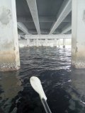 IMG_20240709_120459961.jpg