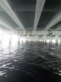 IMG_20240709_120448088.jpg