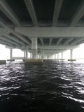 IMG_20240709_123419973.jpg