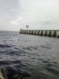 IMG_20240709_131321223.jpg