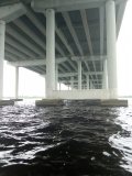 IMG_20240709_131338464.jpg