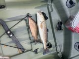 IMG_20240711_170354056.jpg