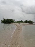 IMG_20240711_122608901.jpg