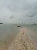 IMG_20240711_122544547.jpg