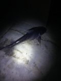 IMG_20240731_014057014.jpg