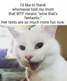 470224600_1501103920690851_6739187735573003960_n.jpg