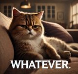 whatever.jpg