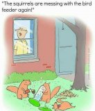 IMG_1339.jpeg