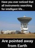 IMG_1337.jpeg