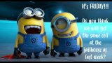 minionfriday.jpg