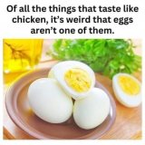 IMG_1393.jpeg