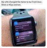 funnyzzz.jpg