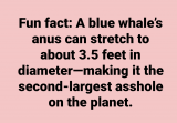1000047412.png