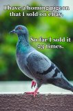 IMG_1158.jpeg
