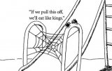 IMG_0891.jpeg