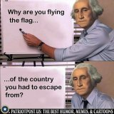 01JYS1YP6N8JHPPP3SE72GXZJ4 (1).jpeg