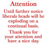 Lib-heads-Explode.jpeg