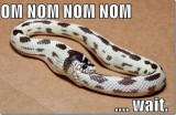 image_thumb303.png
