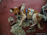 dog in the dough.gif