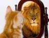 cat lion mirror.jpg
