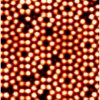 Siatoms.jpg