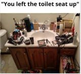 toilet seat.PNG